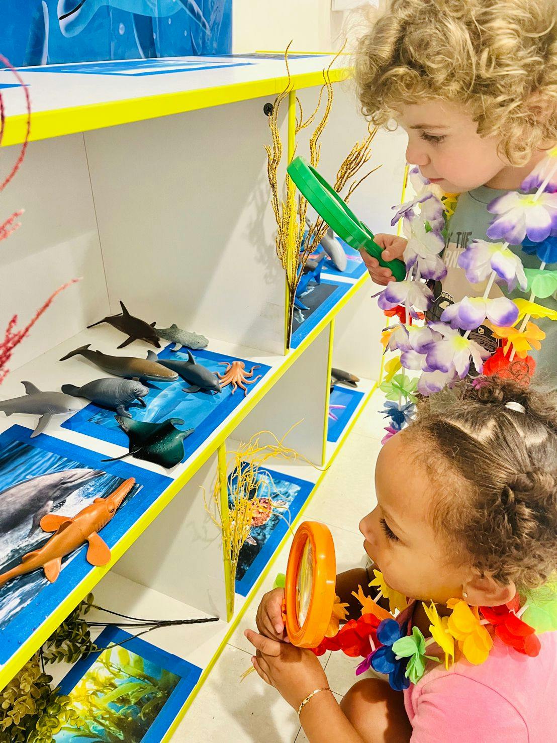Two children looking at toy sea animals on shelves with magnifying glasses