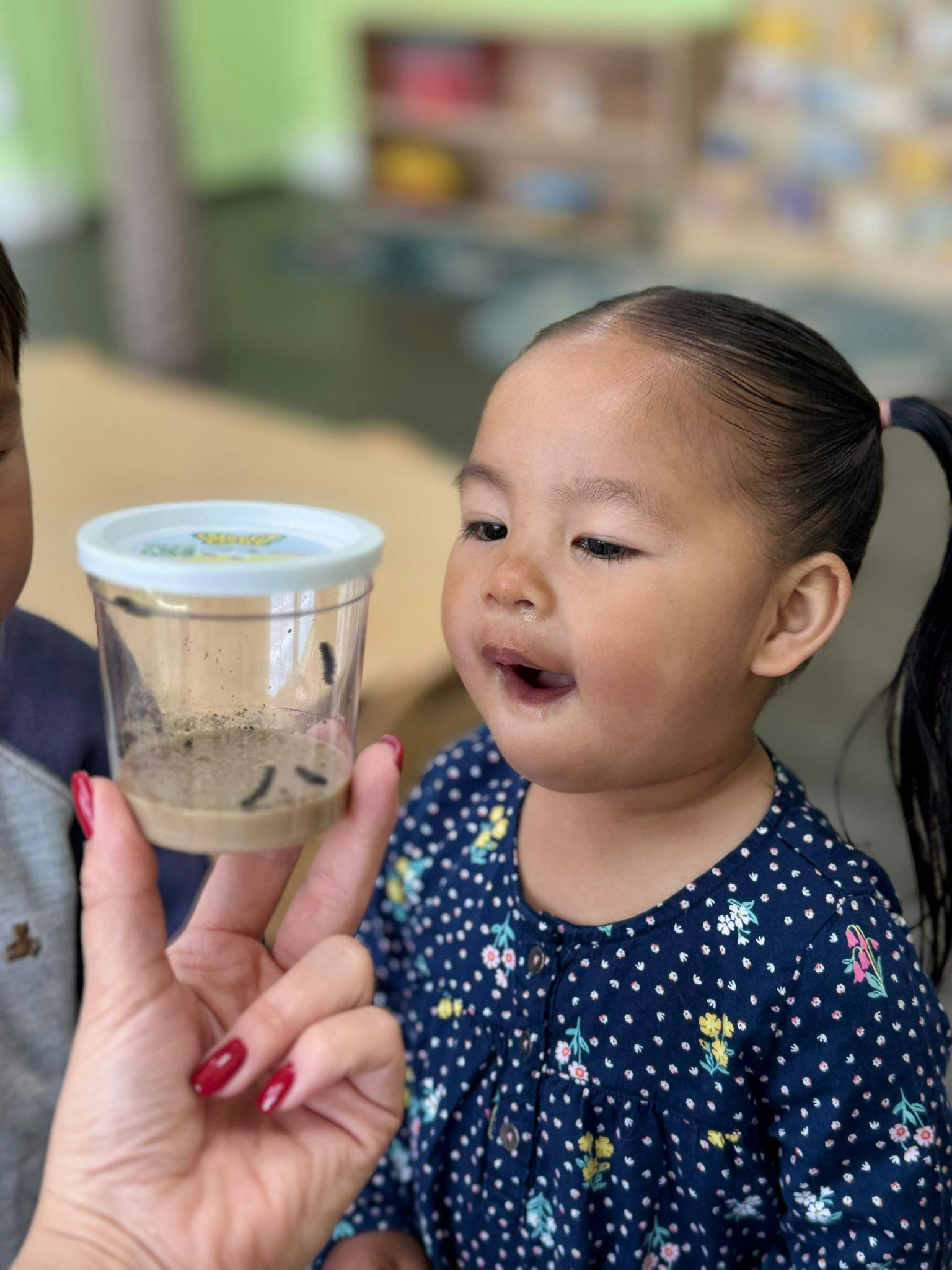 Child looking at a container of caterpillars held by an adult