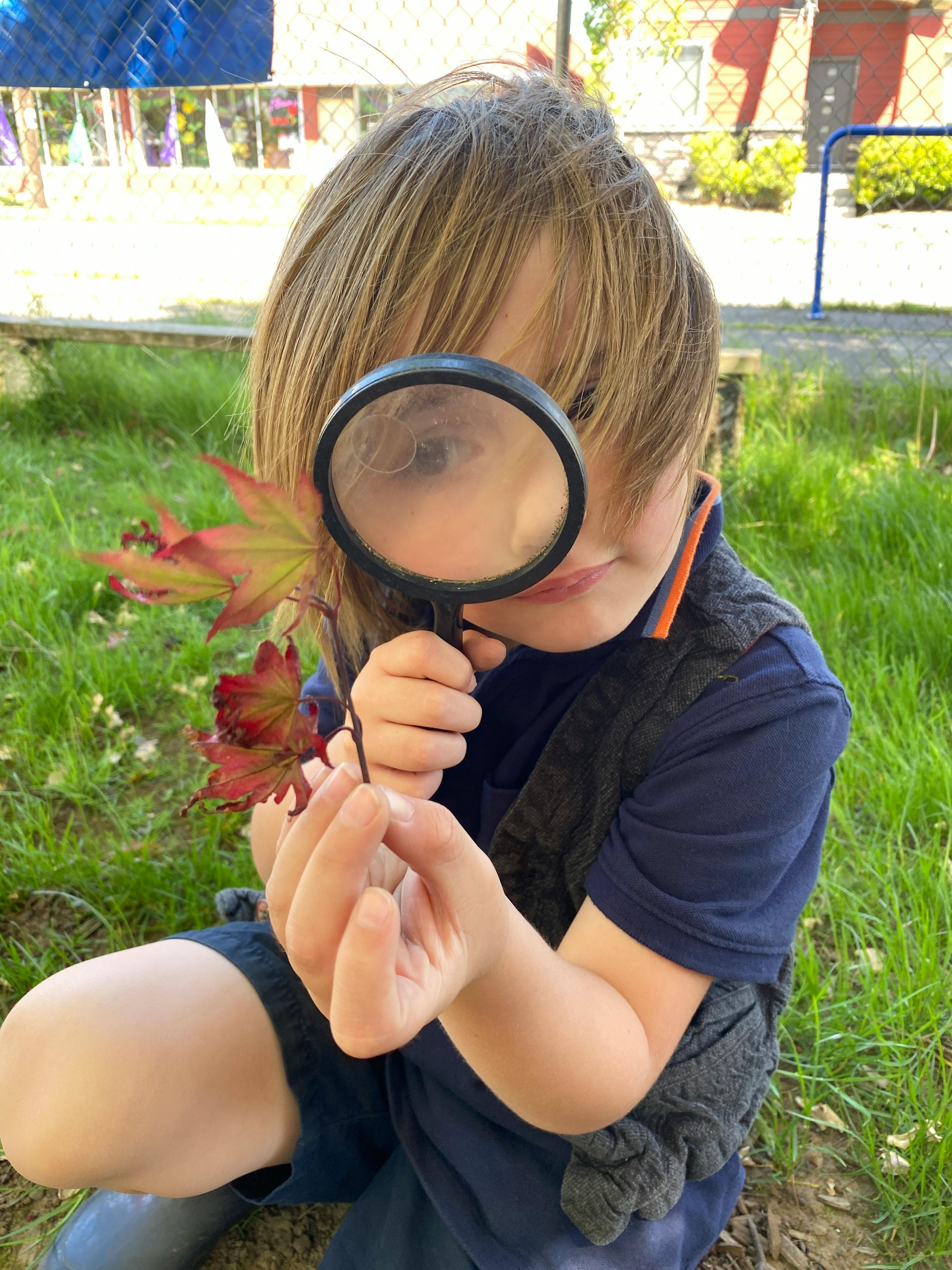 Child holding a magnifying glass to a leaf