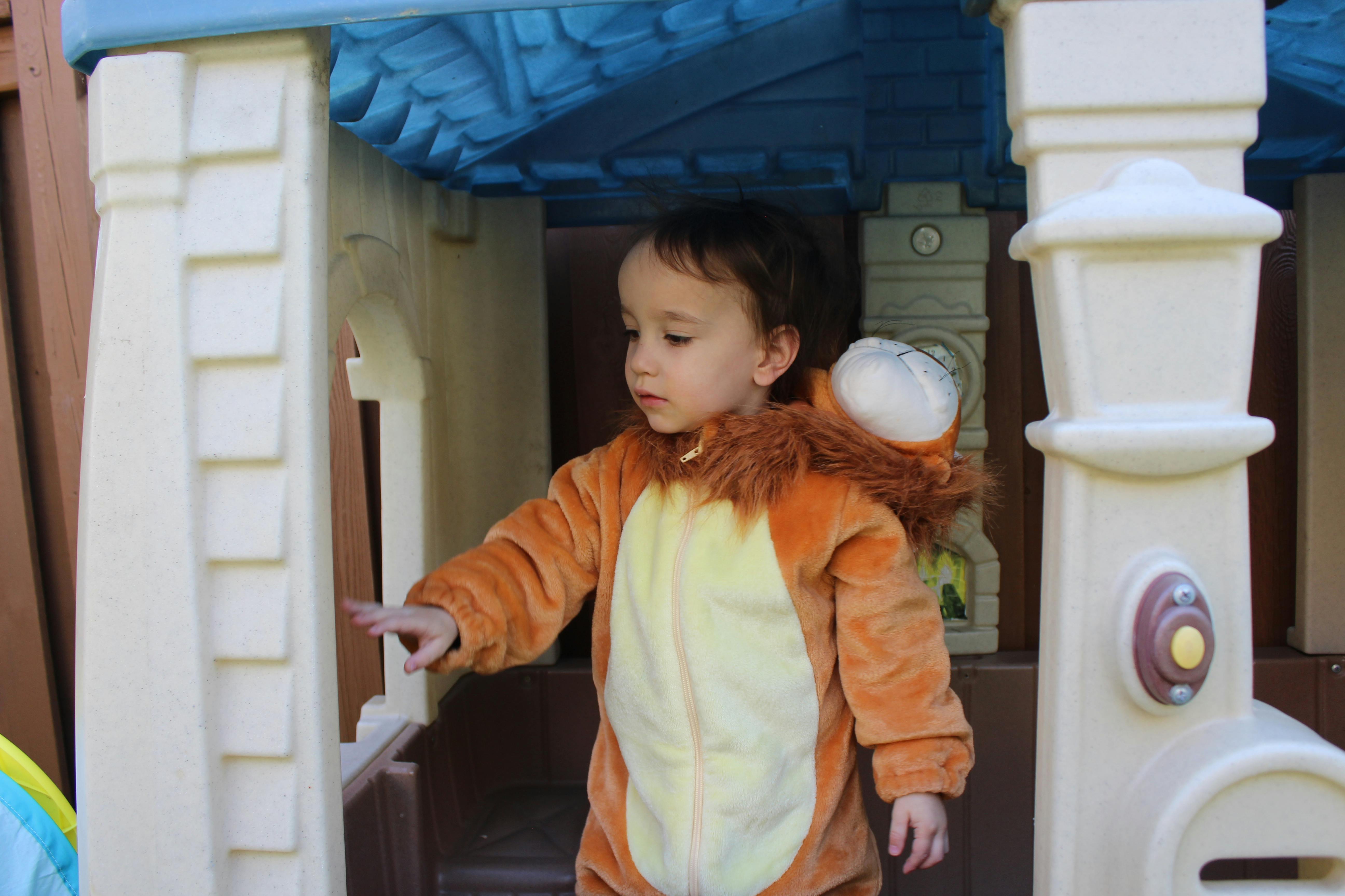 Child in a lion costume touching a playhouse
