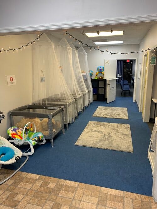 Row of cribs with netting in a room with blue carpet