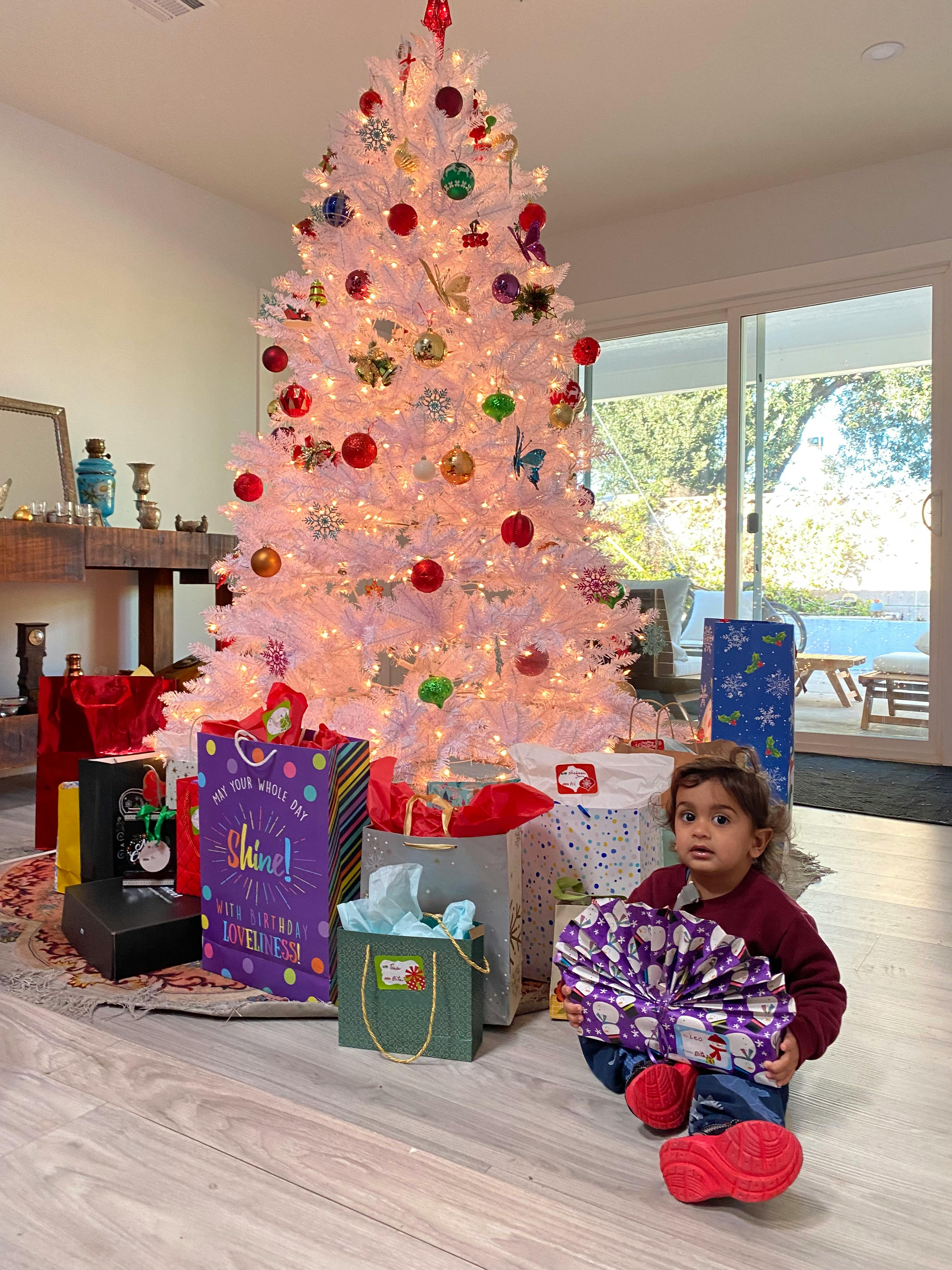 Child sitting on the floor holding a wrapped gift next to a Christmas tree