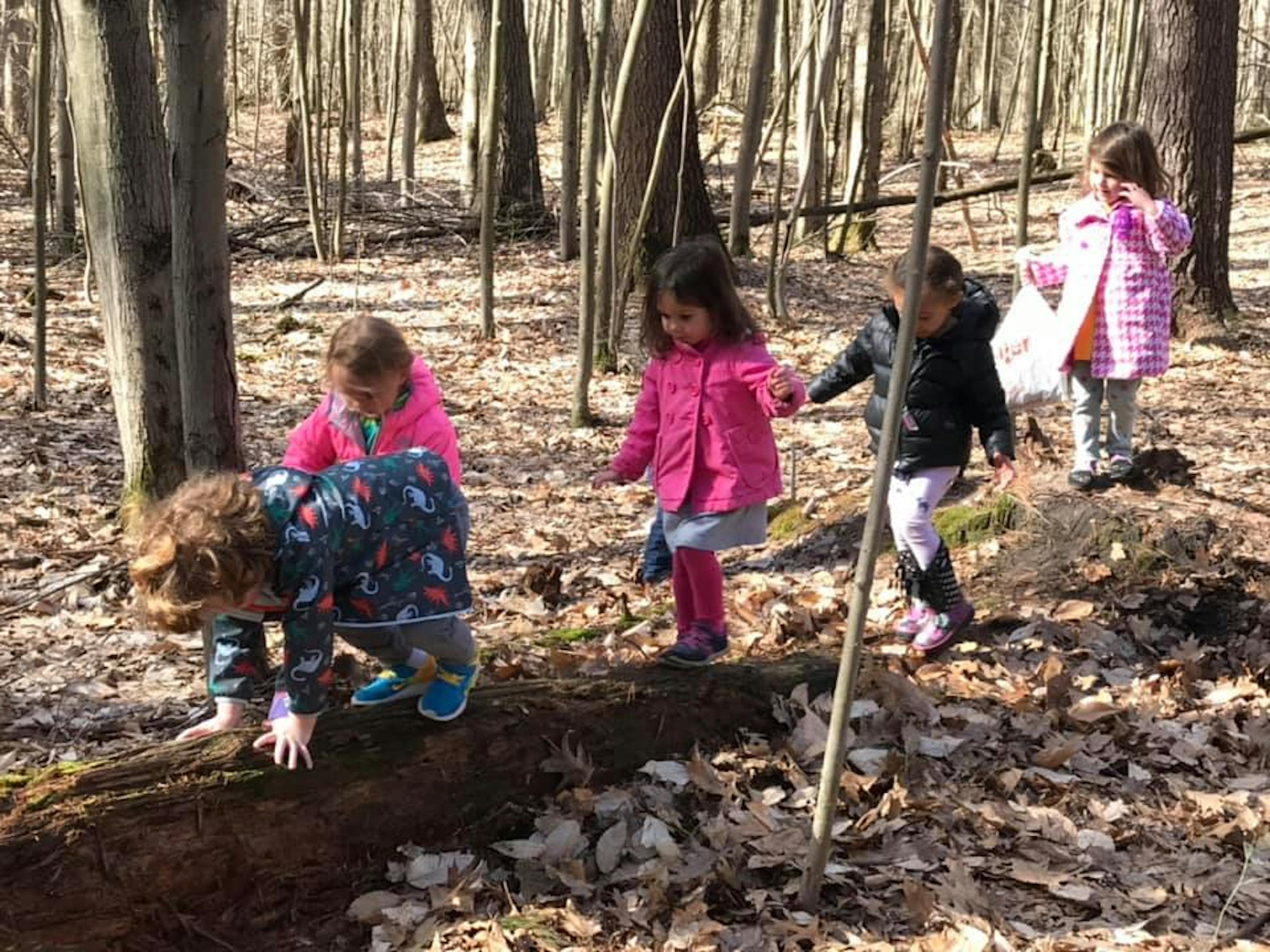 Winter Sun Schoolhouse Whitehall Road Campus Daycare In North Muskegon Mi Winnie