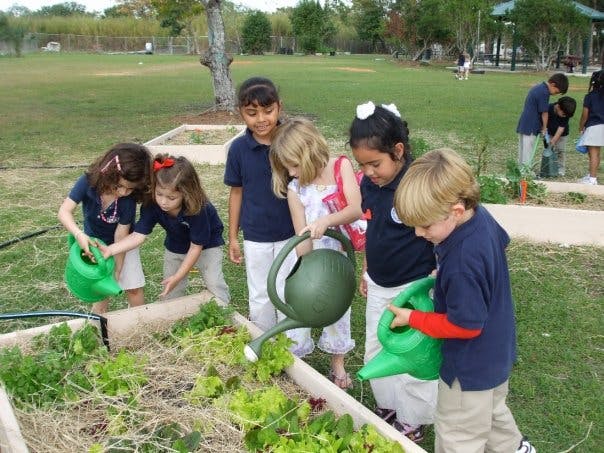 Children watering plants in a raised garden bed
