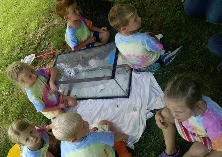 Children gathered around a glass tank on a white cloth outdoors