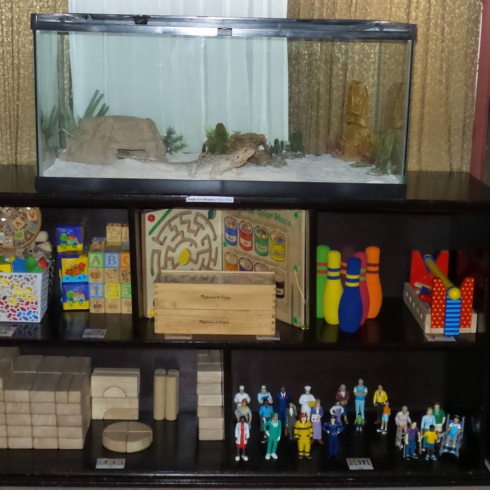 Aquarium with sand and rocks above shelves of toys and figurines