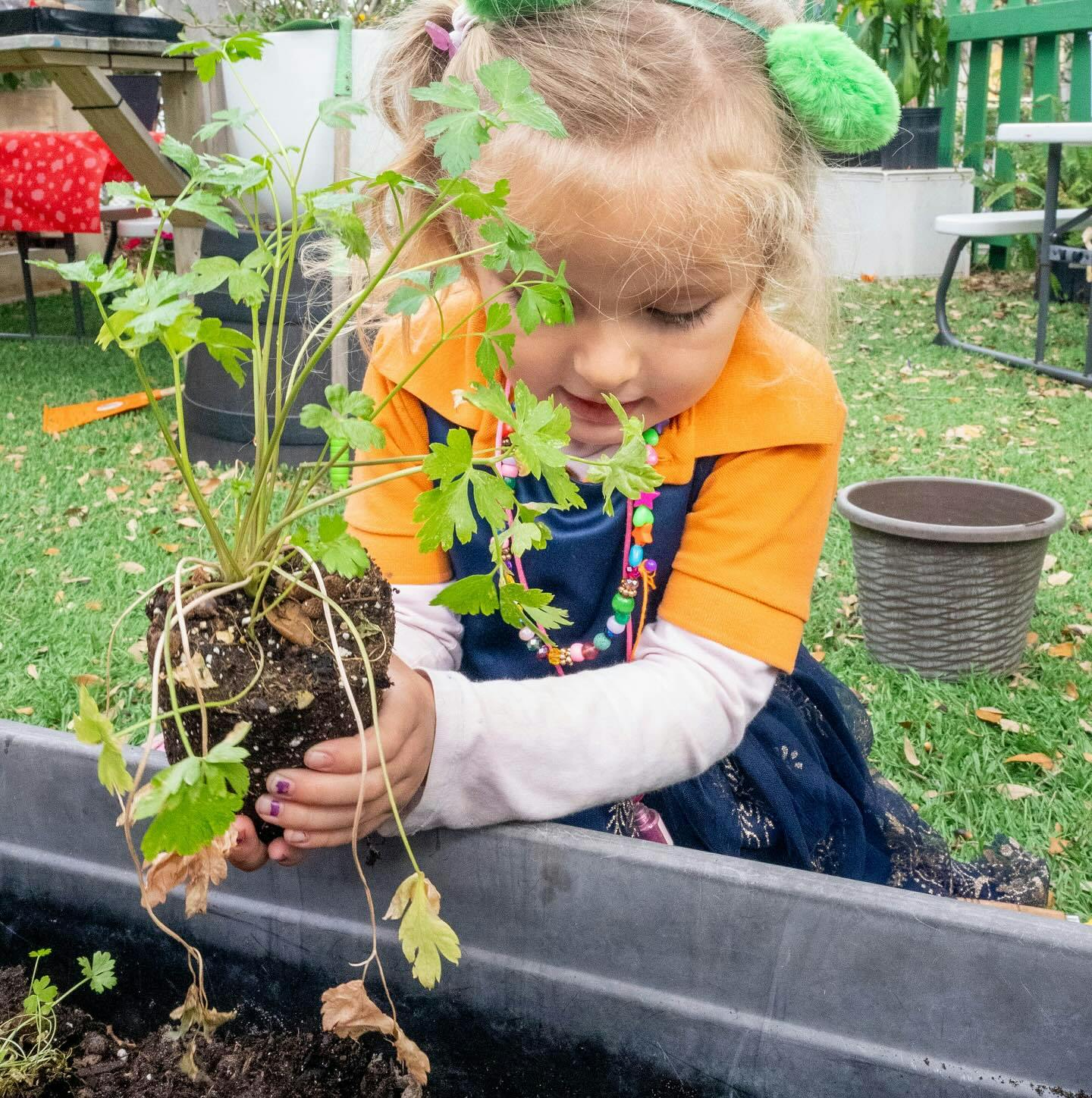 Child holding a plant with roots exposed over a planter