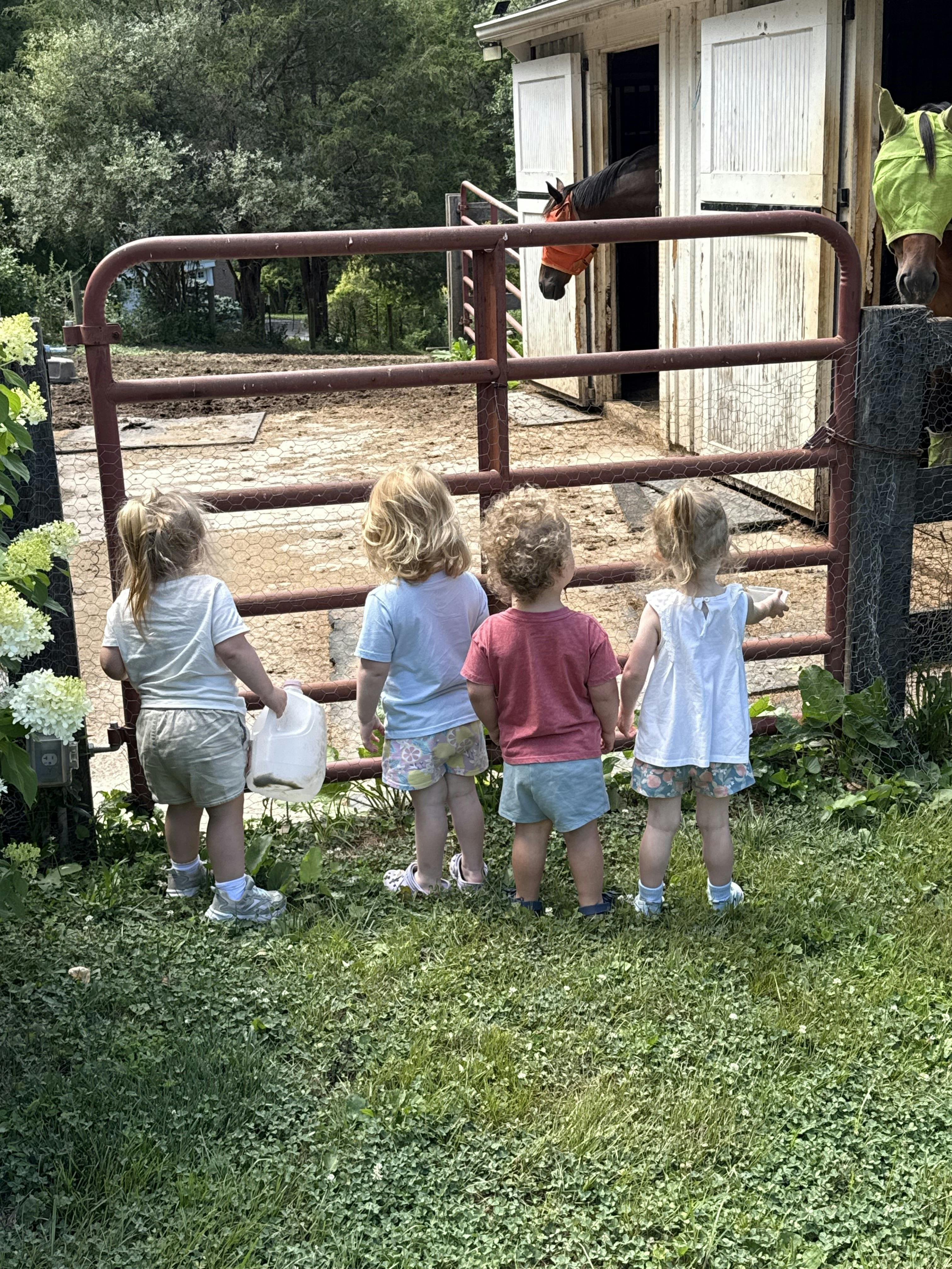 Four children standing by a gate looking at horses in a stable