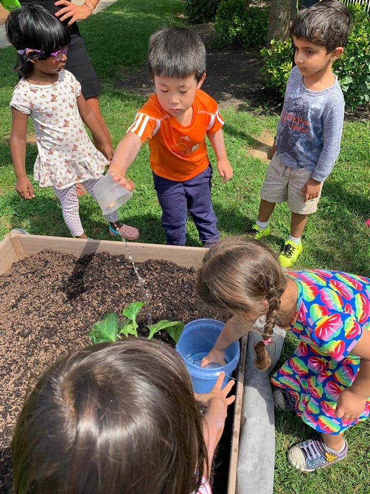 Children watering plants in a raised garden bed