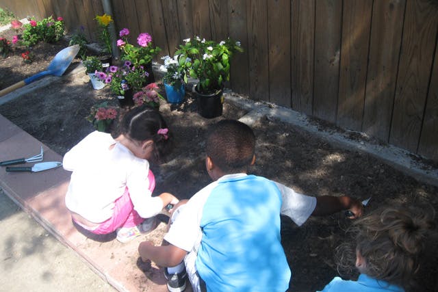 Children planting flowers in a garden