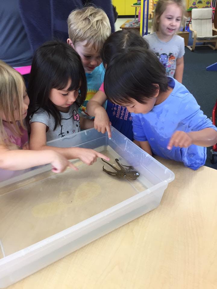 Children looking at a creature in a container of water