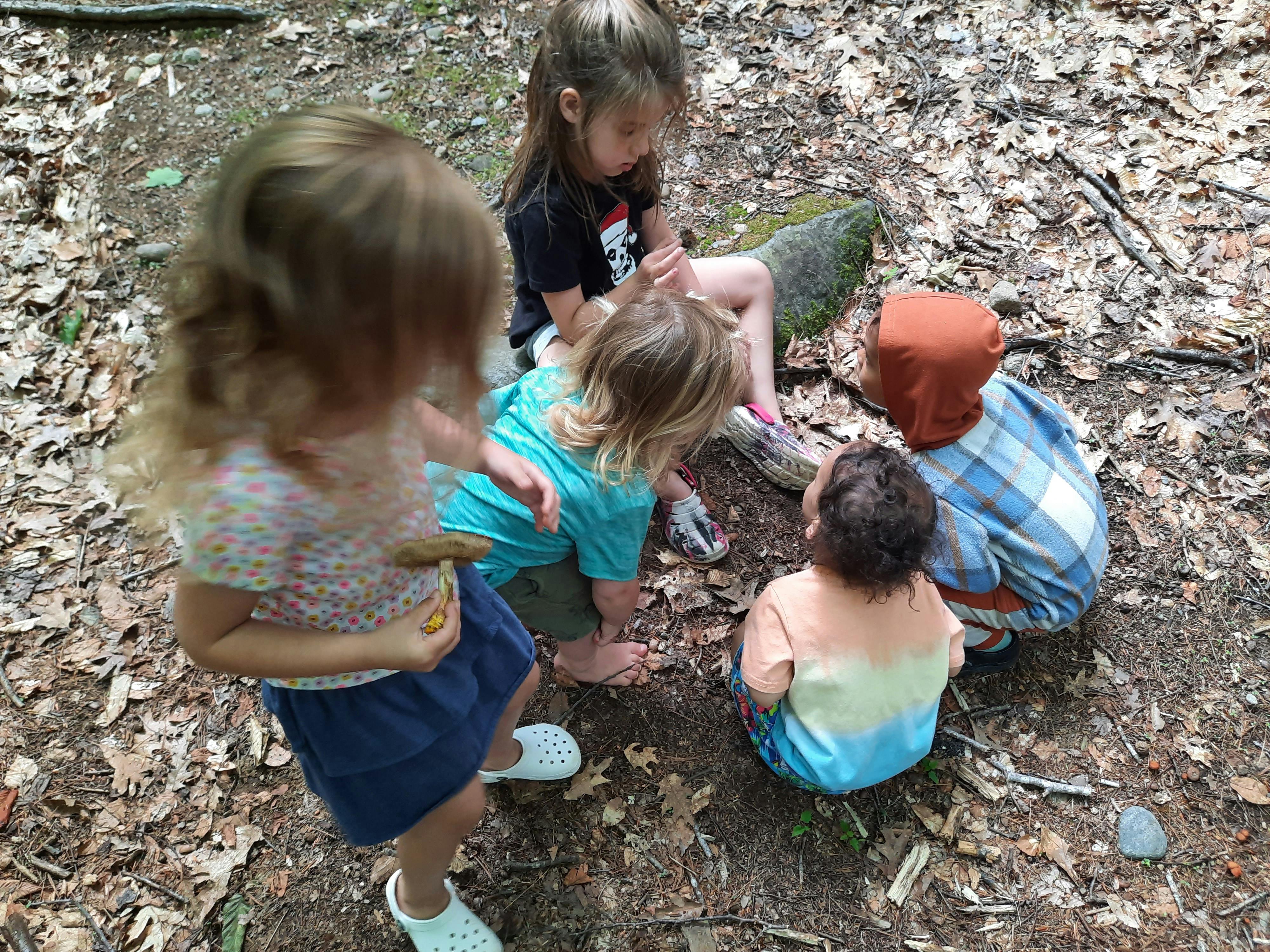 Group of children gathered together on a forest floor