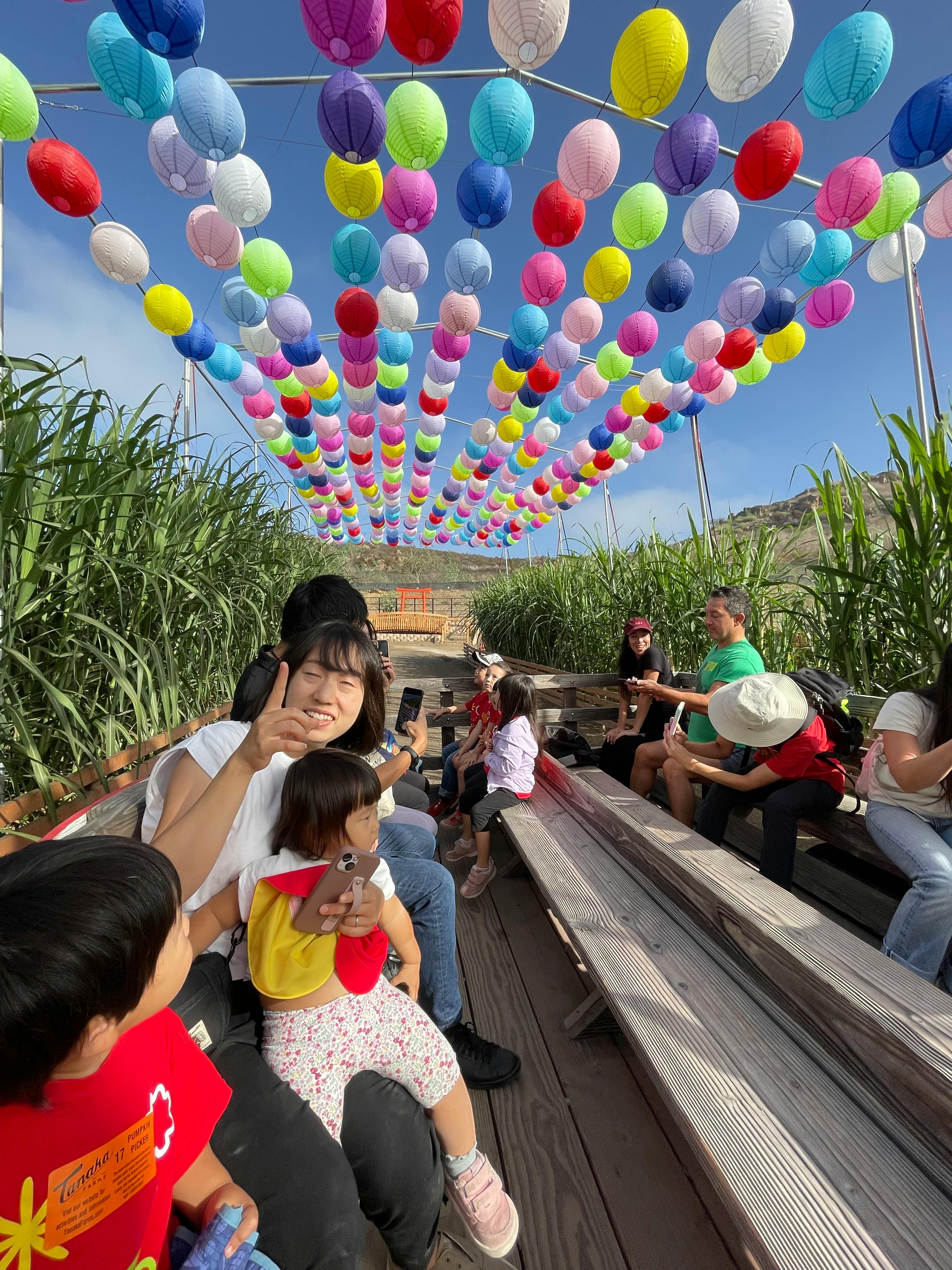 People sitting on benches under a canopy of colorful lanterns