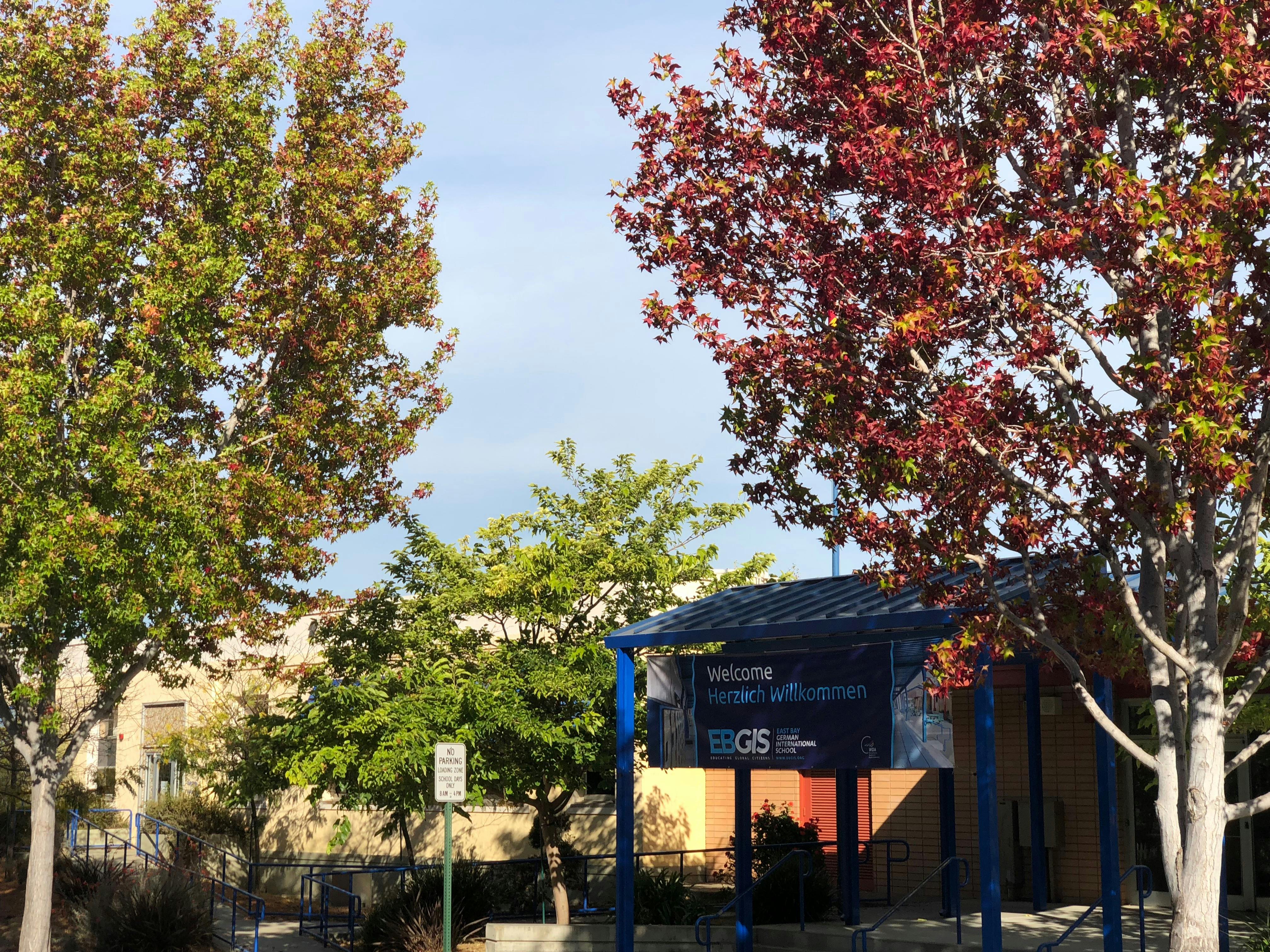 Trees with green and red leaves framing a small building with a blue roof