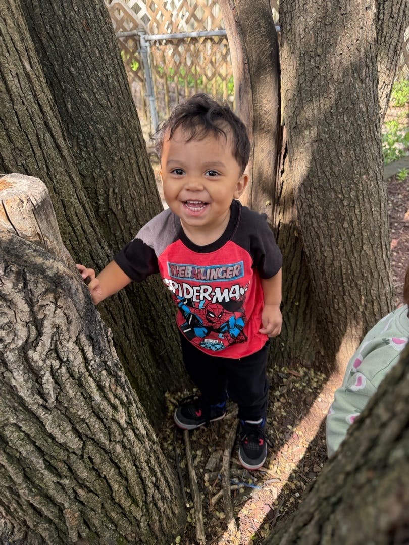 Child smiling between two tree trunks