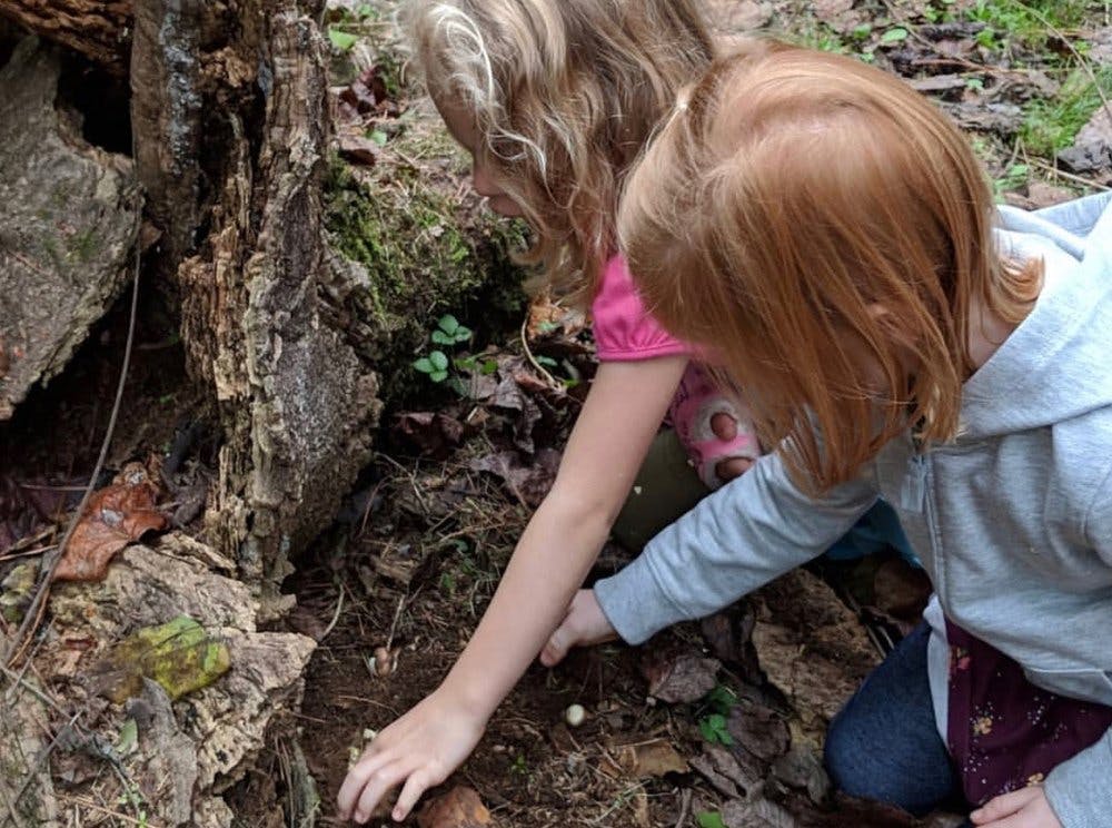 Two children reaching into dirt near a tree trunk