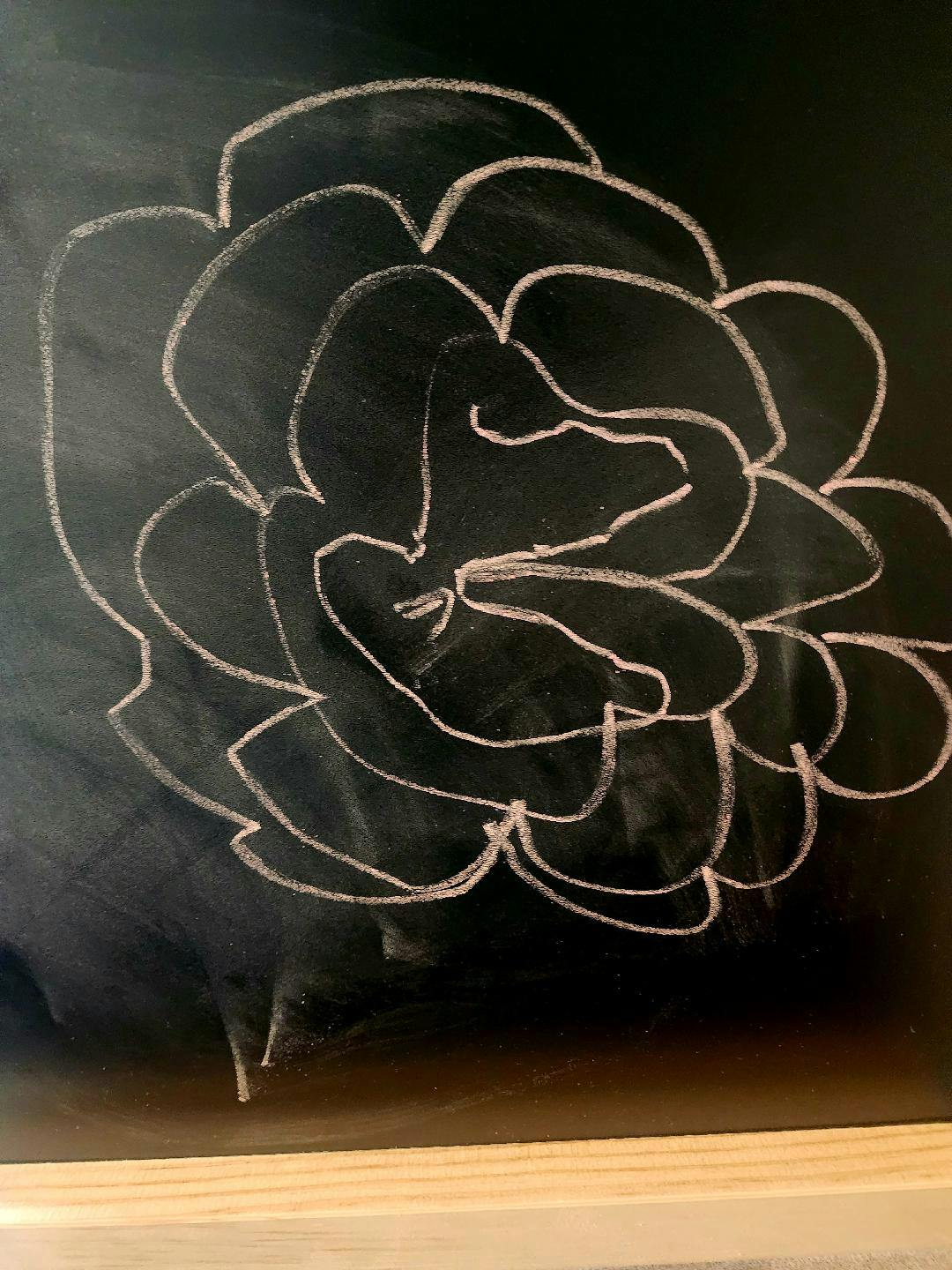 Chalk drawing of a flower on a blackboard