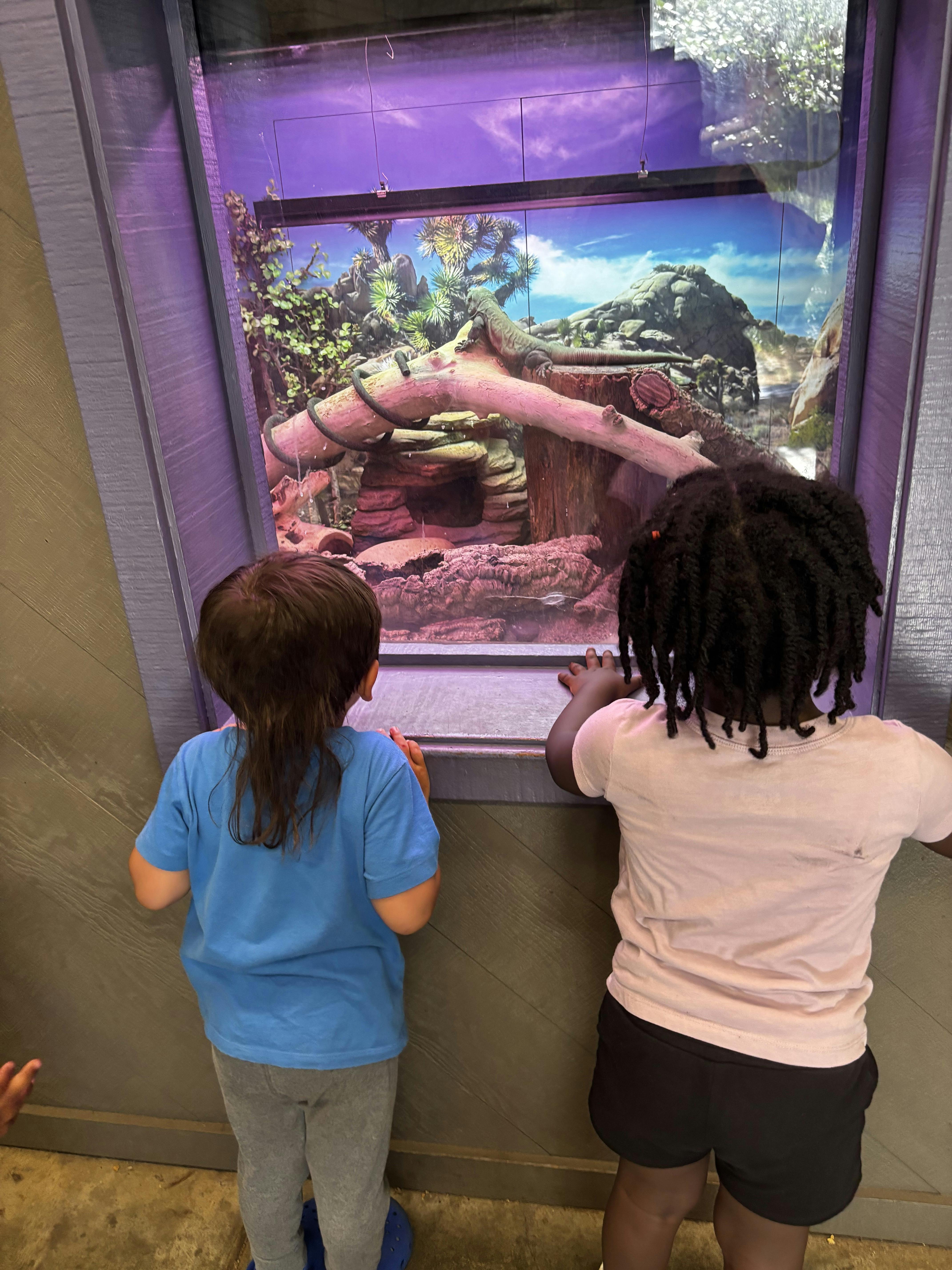 Two children looking into an animal enclosure