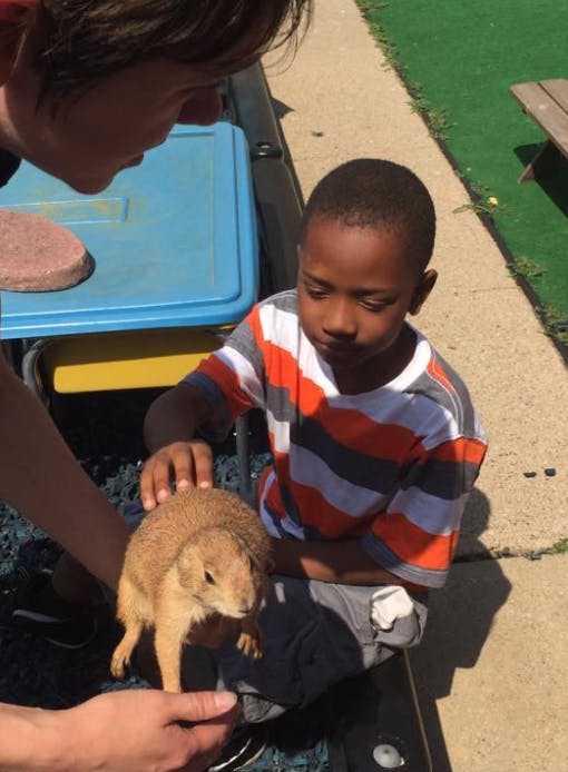 Child petting a prairie dog held by a person