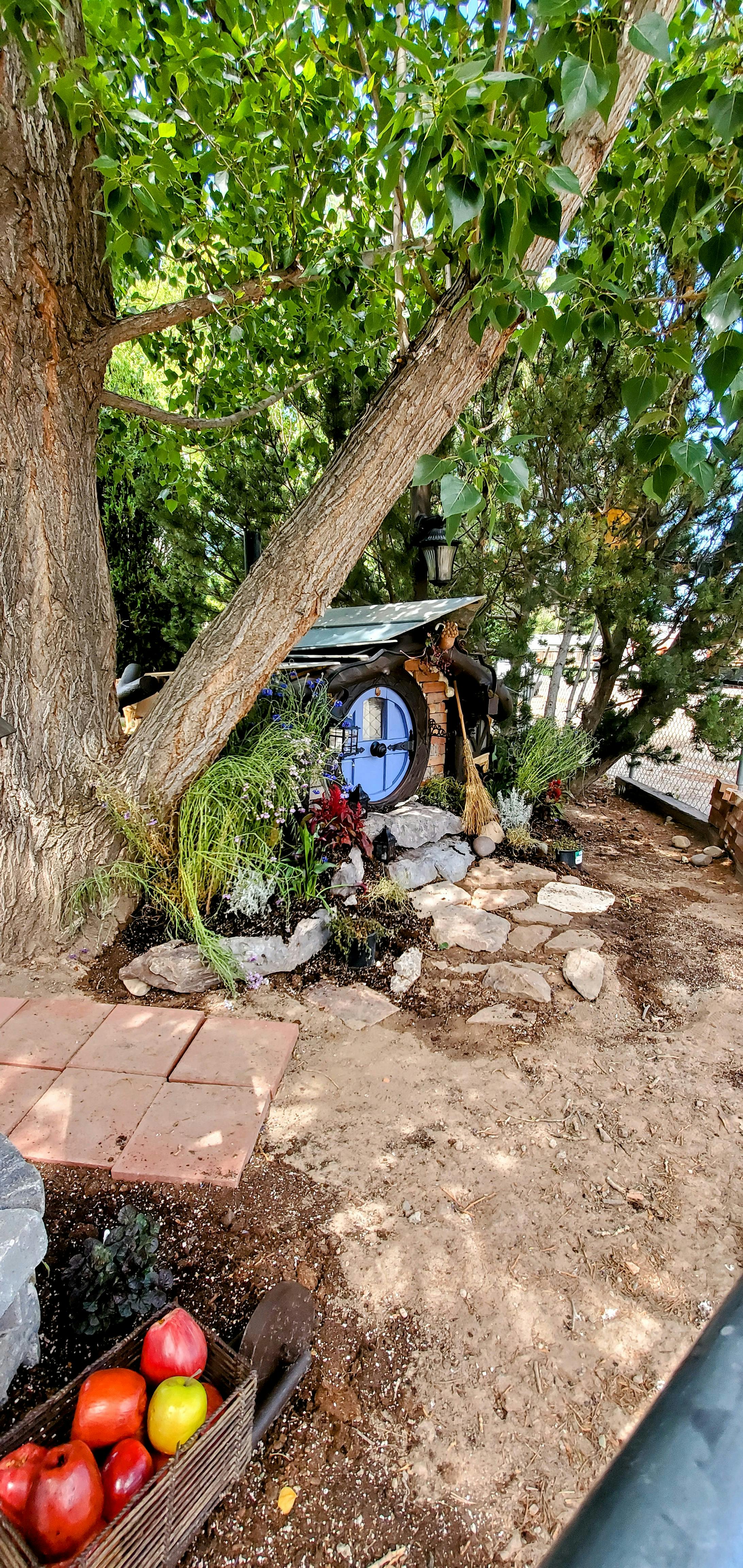 Small hobbit house with a blue door nestled under a large tree