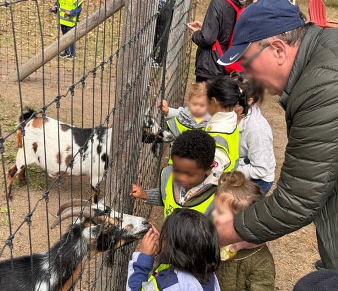 Group of children and an adult feeding goats through a fence at a petting farm