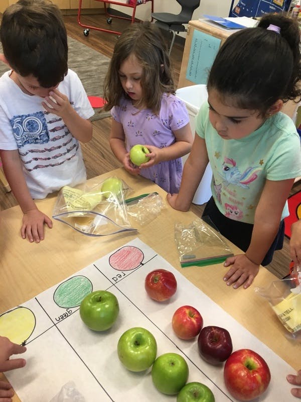 Three children sorting apples by color on a table