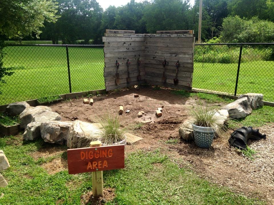 Dog lying next to a digging area sign