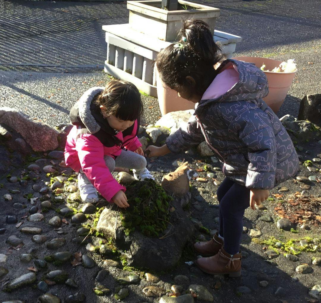Two children looking at moss on a rock