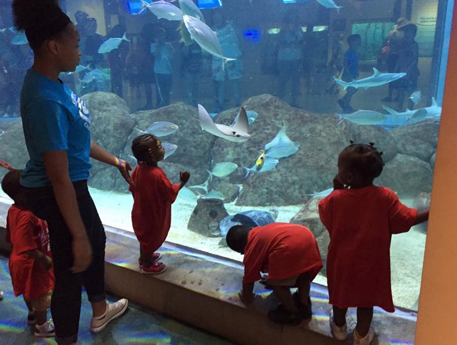 Adult and children looking at fish and stingrays in an aquarium