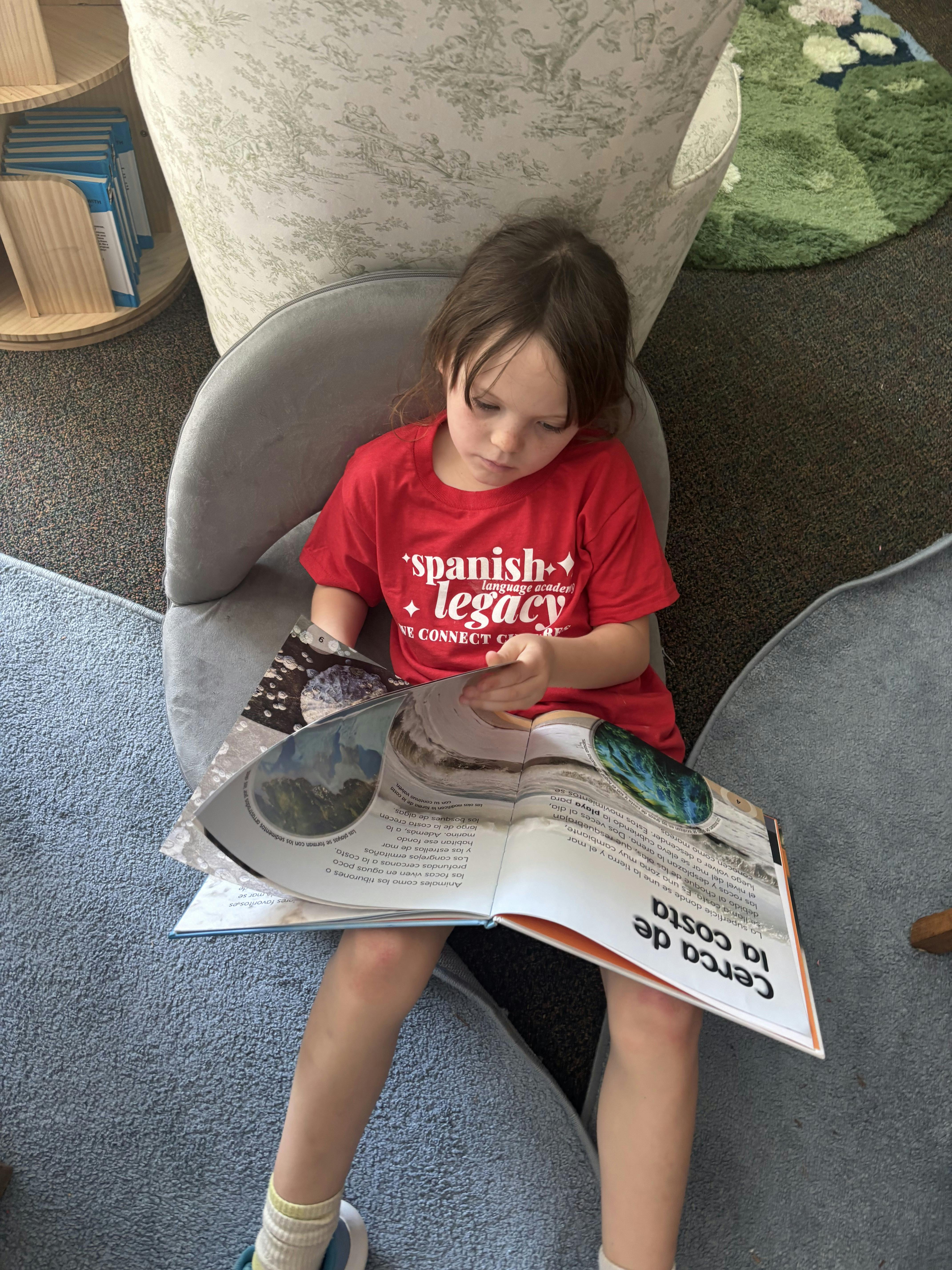 Child in a red t-shirt reading a book in a chair