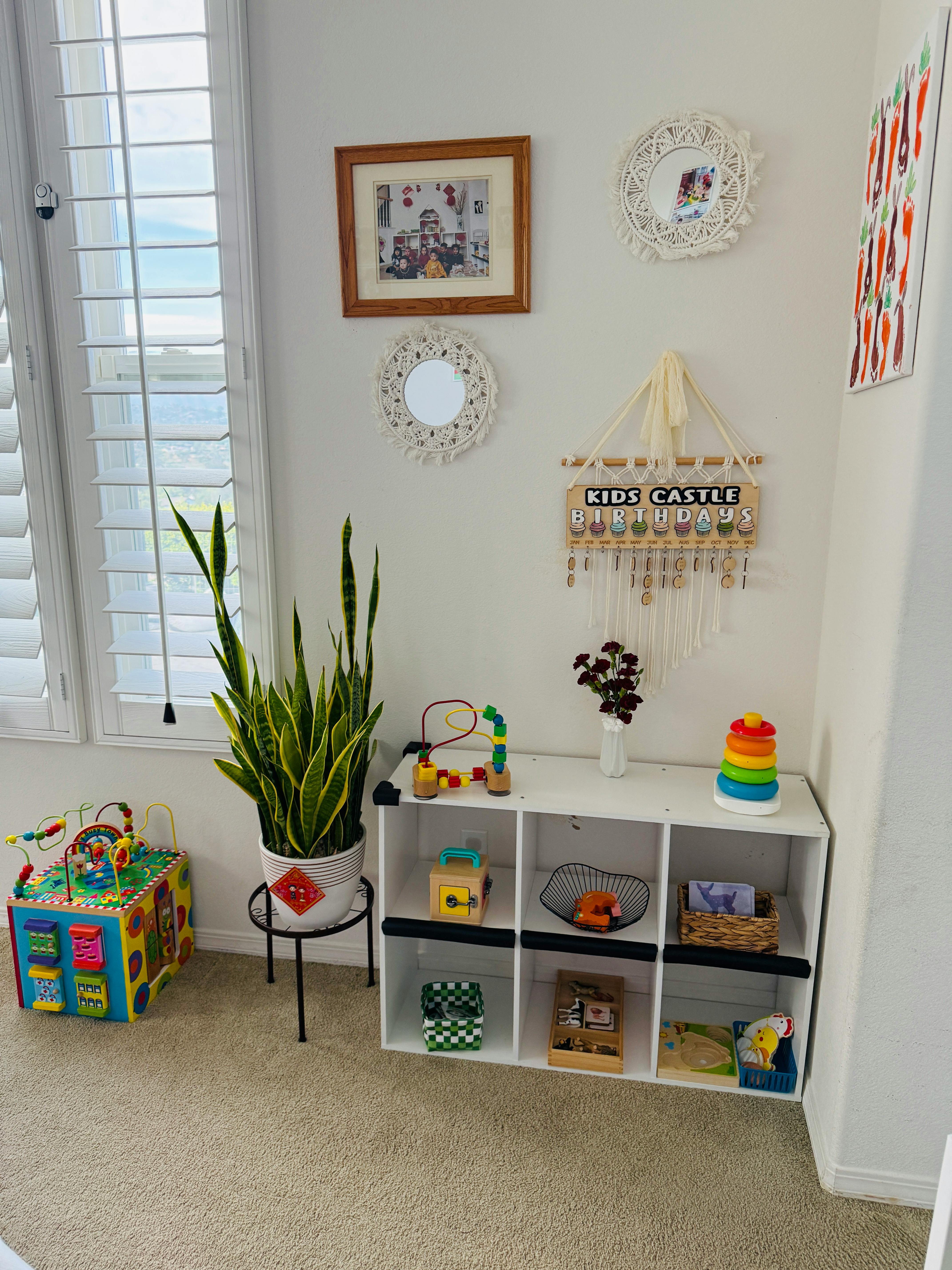 Playroom with a toy shelf, plant, and window