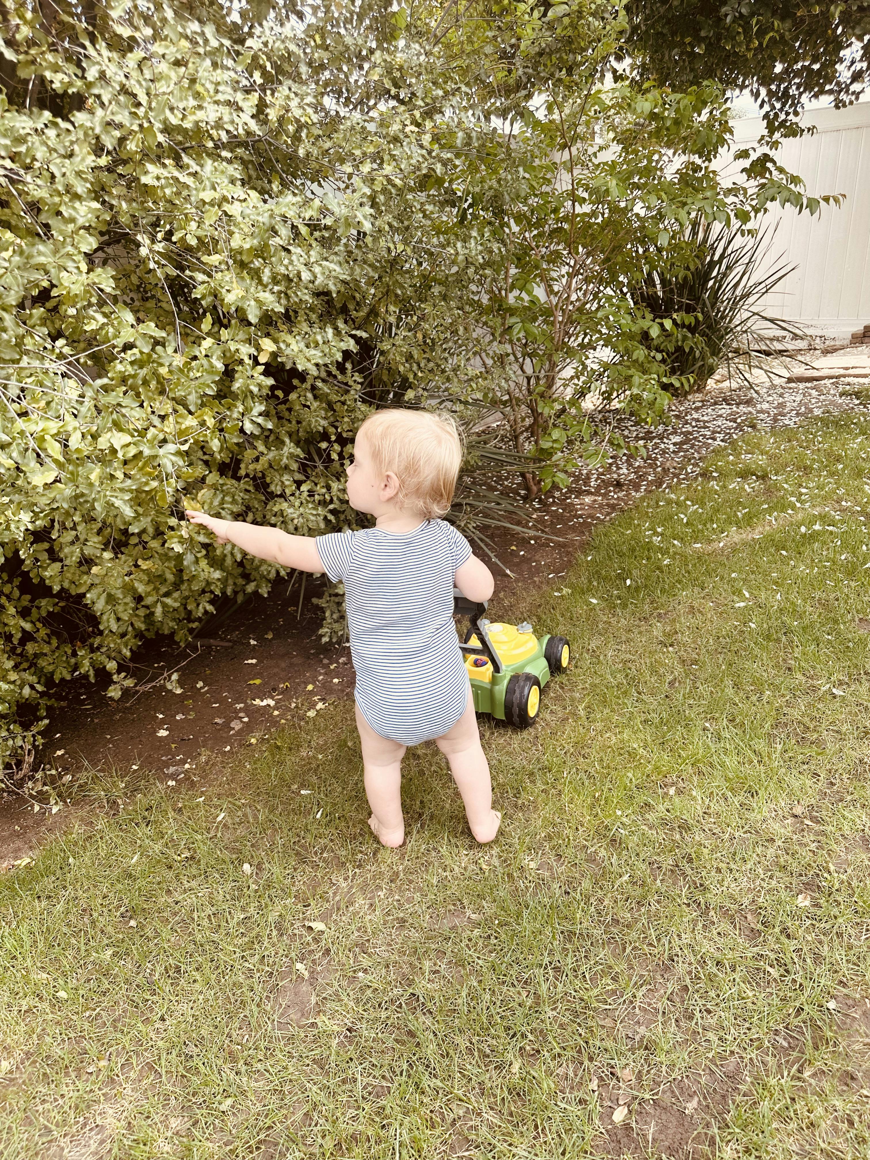 Child reaching toward a bush while standing by a toy lawn mower in a yard