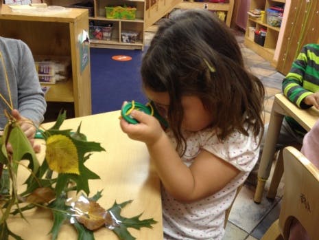 Child looking through a magnifying glass at leaves on a table