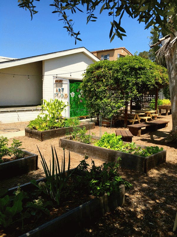 Raised garden beds with plants in front of a building and covered seating area