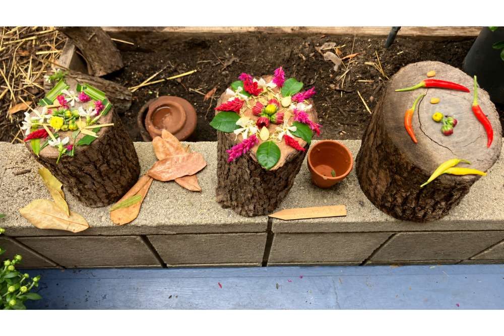 Decorative floral and chili pepper arrangements placed on three tree stumps