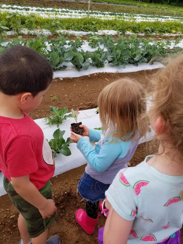 Child holding a small plant in a garden with other children