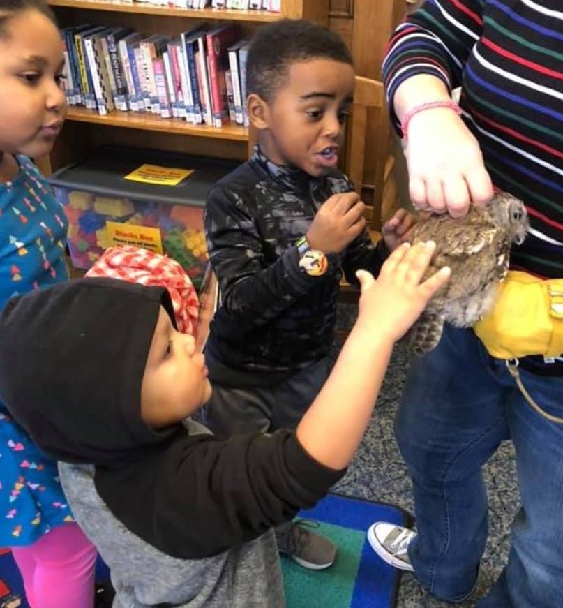Children reaching out to touch a small bird held by a person