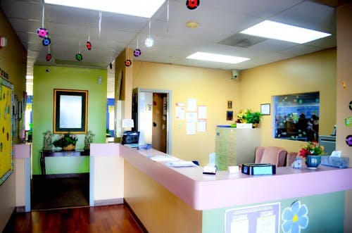 Reception desk in a brightly lit room with colorful decorations