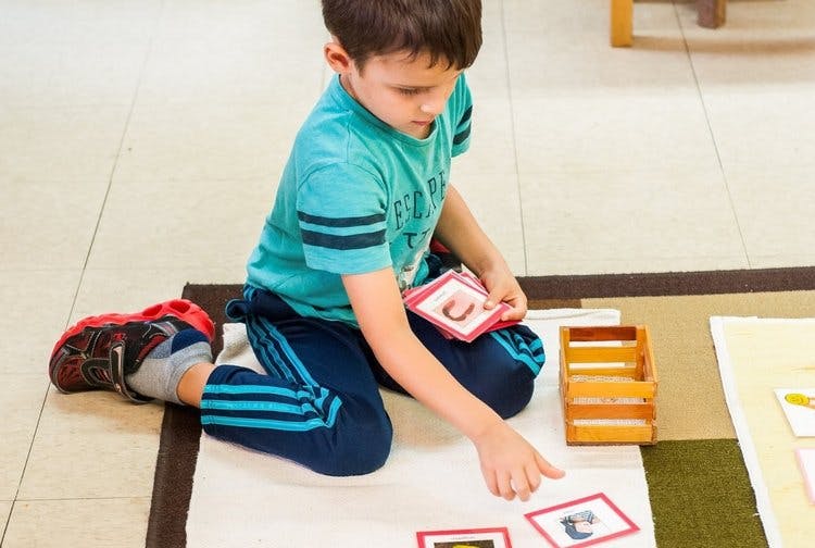 Child kneeling on floor, arranging cards