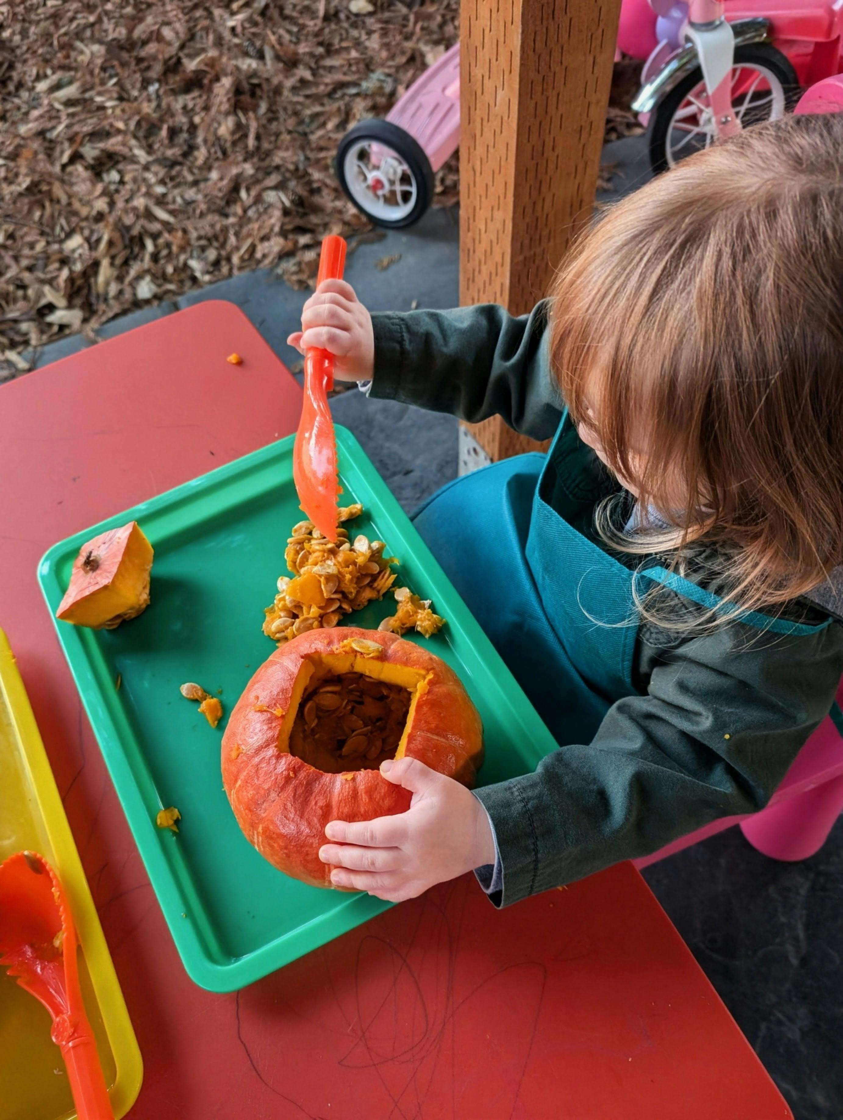 Child scraping pumpkin seeds and pulp from a carved pumpkin