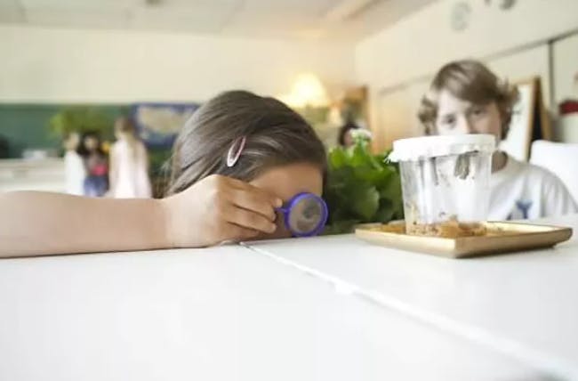 Child looking through a magnifying glass at a container on a table