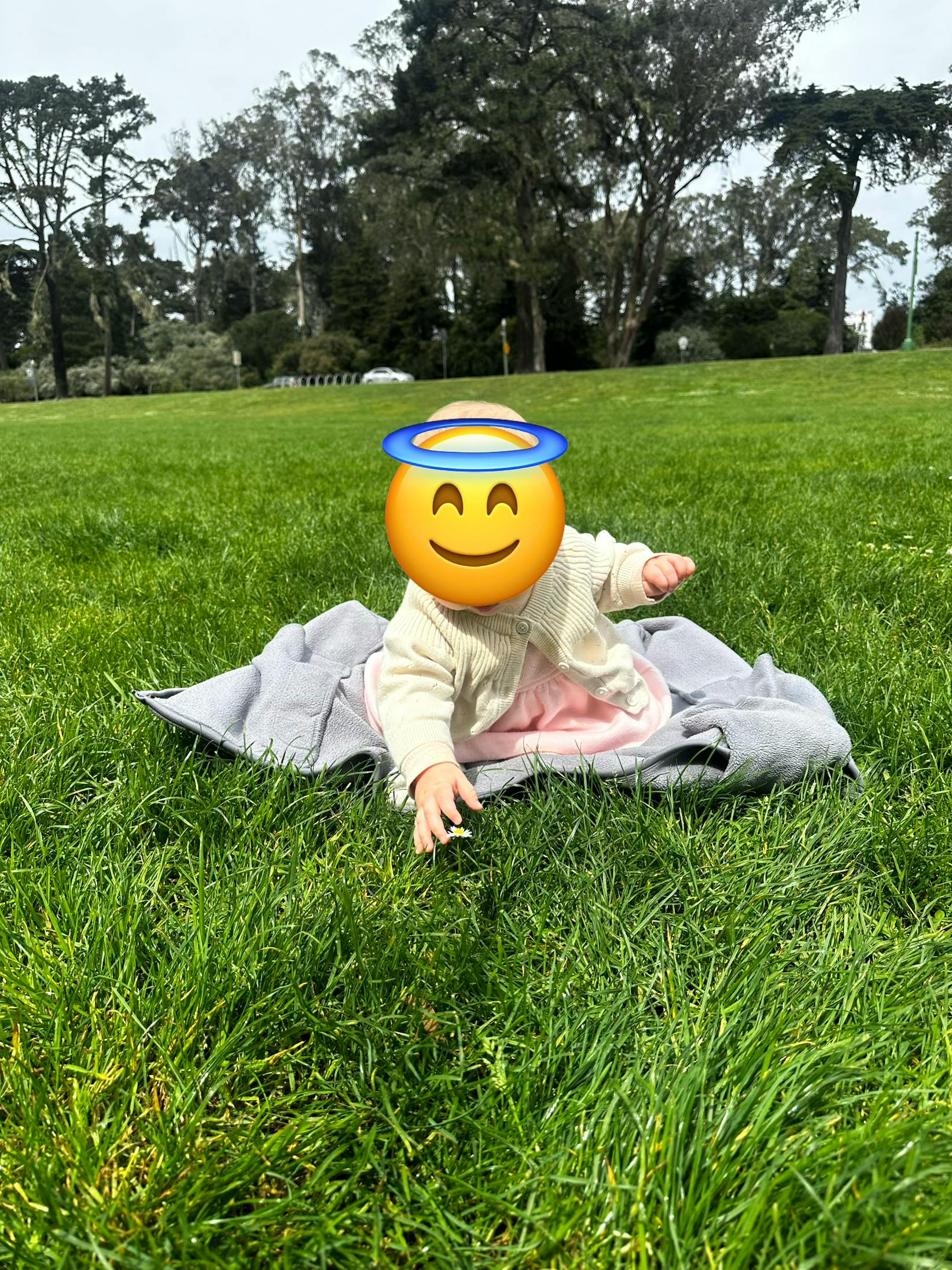 Child sitting on a blanket in a park reaching for a flower