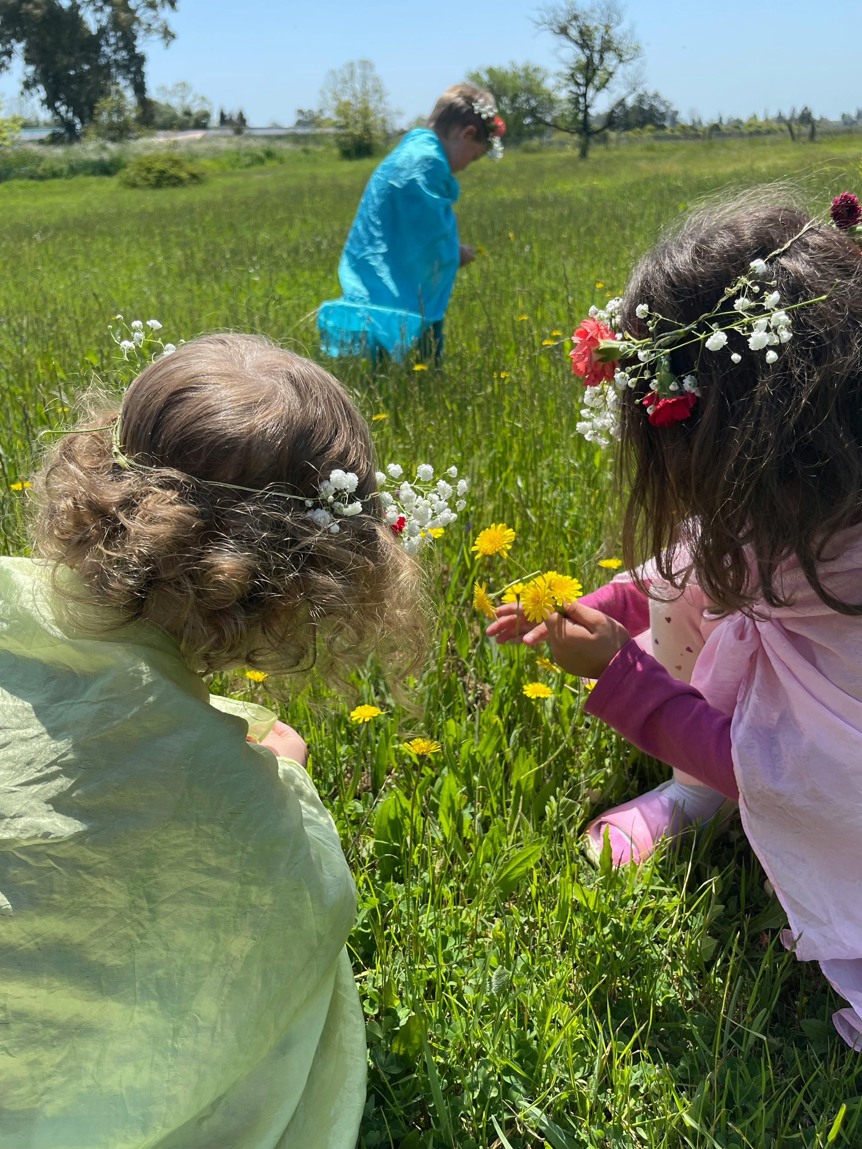 Children in a field picking flowers