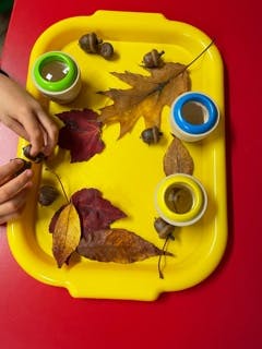 Child's hands arranging leaves and acorns on a yellow tray