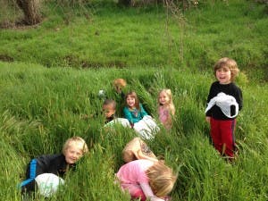 Children playing in tall grass