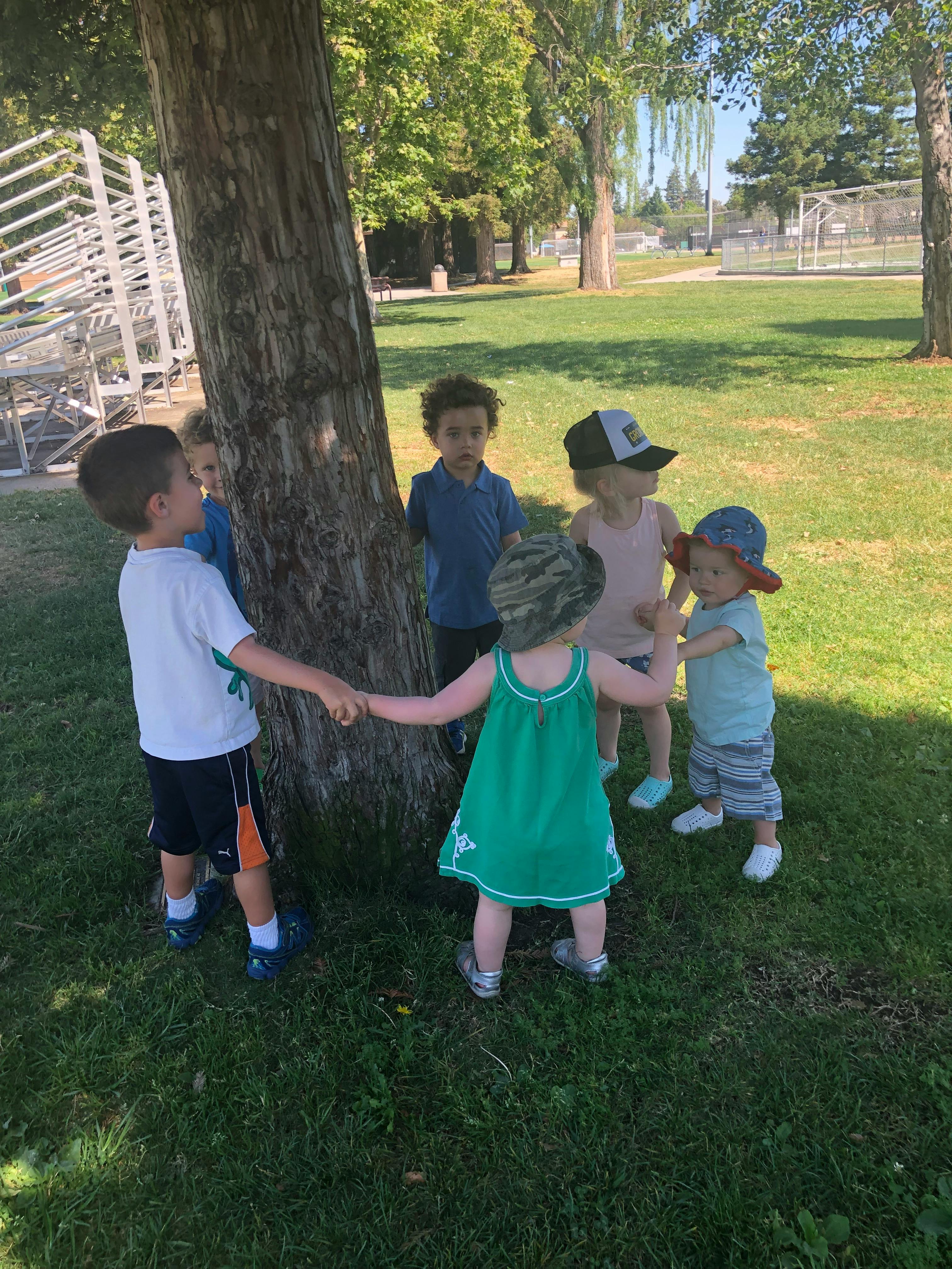 Children holding hands around a tree in a park