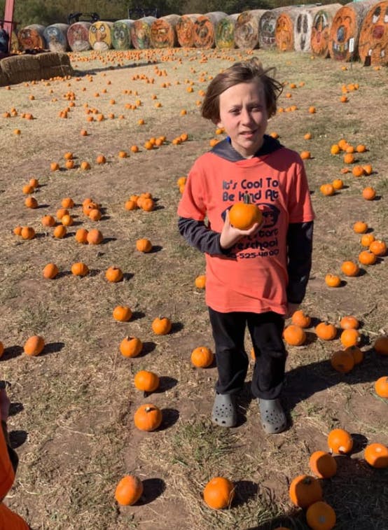 Child holding a small pumpkin in a pumpkin patch