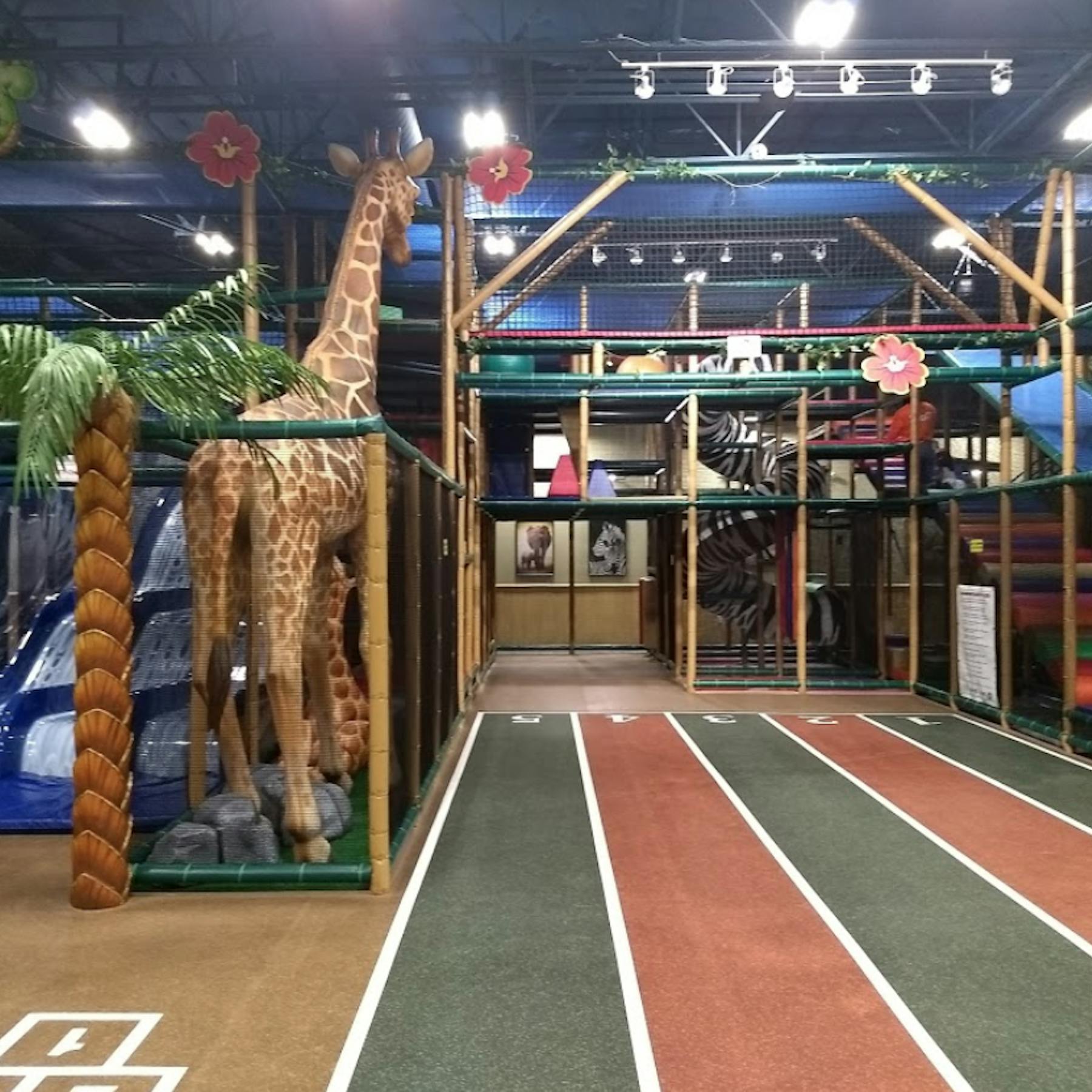 Safari Run Plano >> Safari Run Plano In Plano Parent Reviews On Winnie Safari Run Plano >> Safari Run Plano In Plano Parent Reviews On Winnie