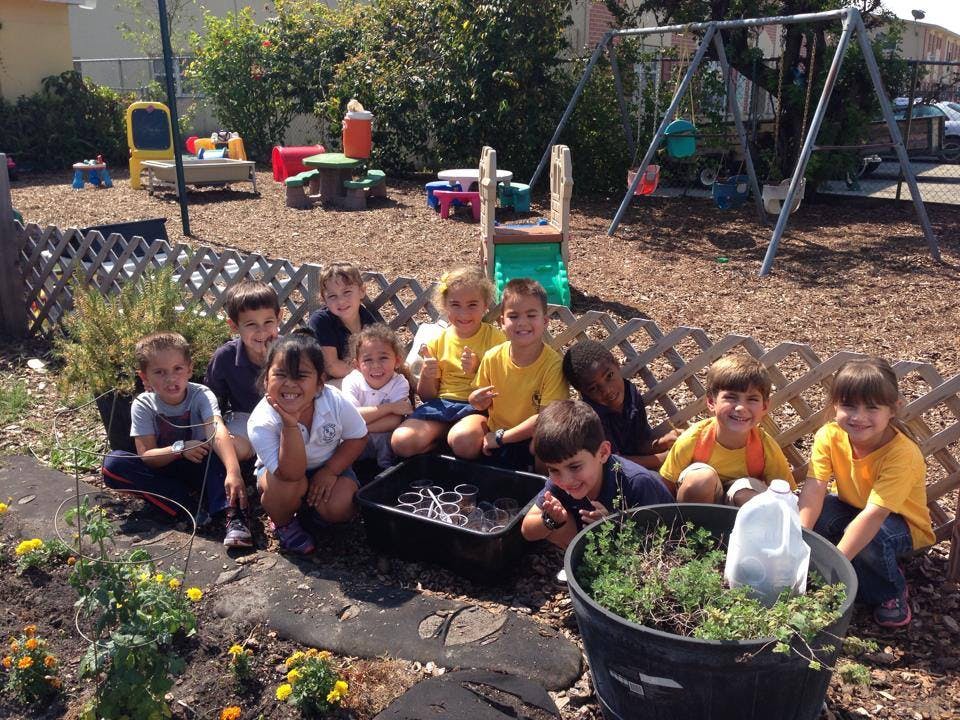 Group of children kneeling around a container of water and a plant pot