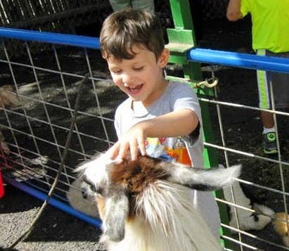 Child petting a goat at a fence